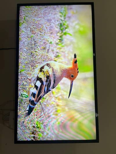 LED TV Series 5. .