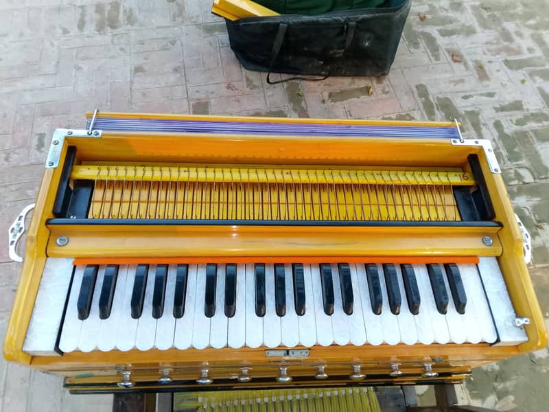 Indian Harmonica Harmonium 3