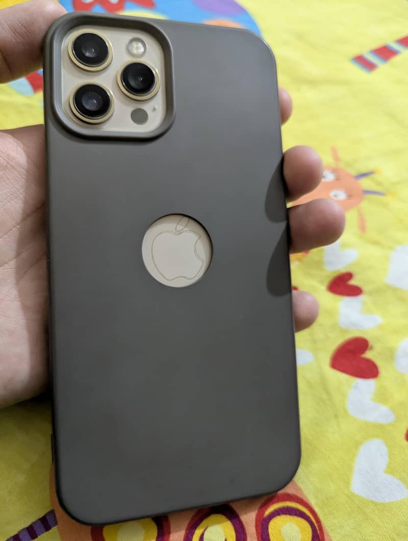 Apple iPhone 12 Pro Max 0
