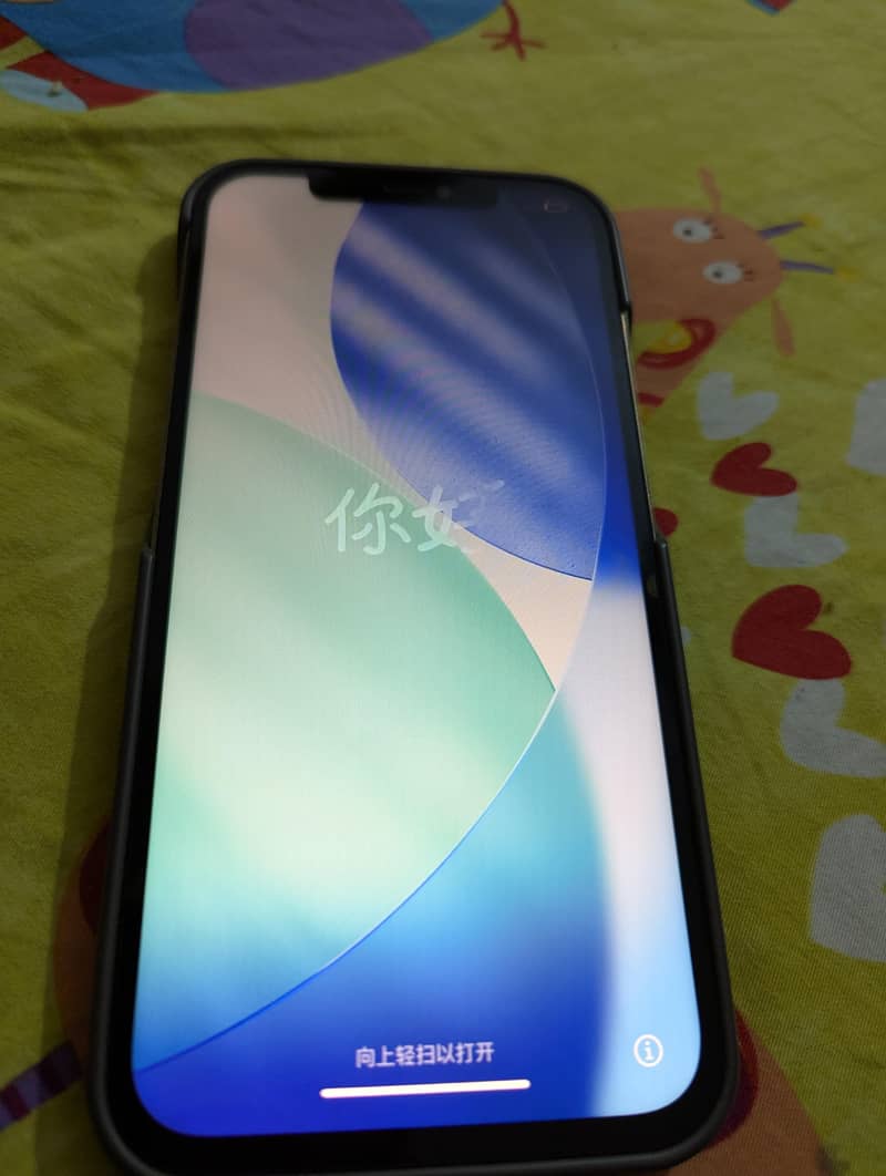 Apple iPhone 12 Pro Max 1