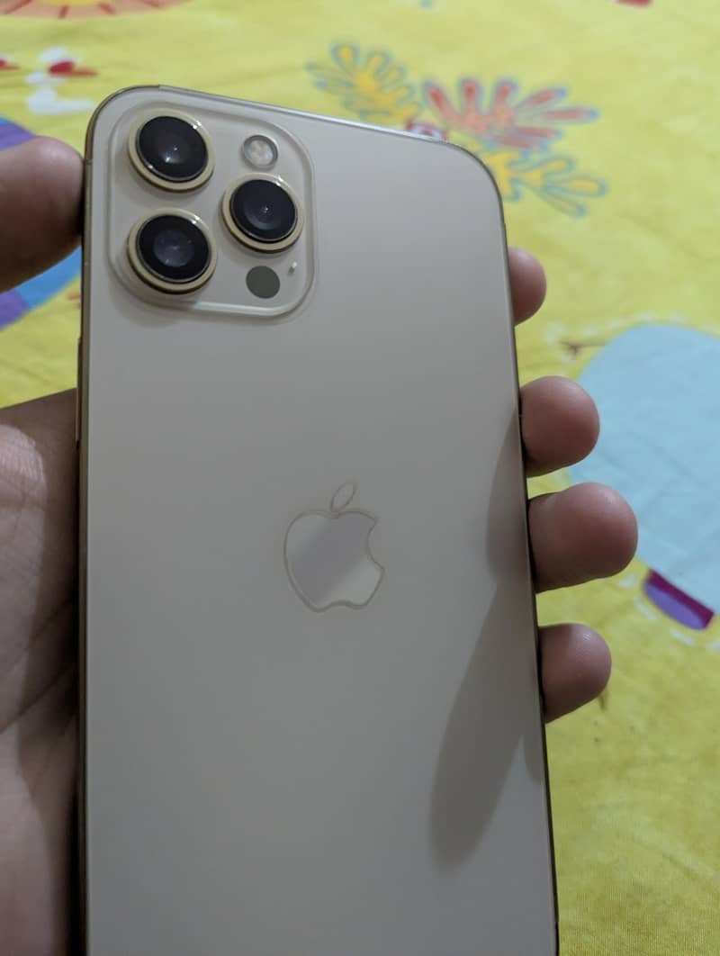 Apple iPhone 12 Pro Max 2
