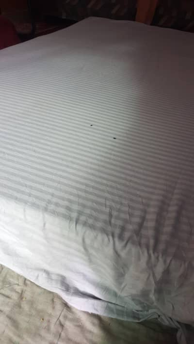 king size moalty foam