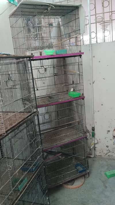 4 prtion cages for love birds and budgies