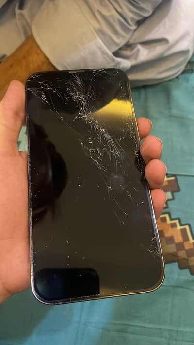 Apple iPhone 13 Pro Max