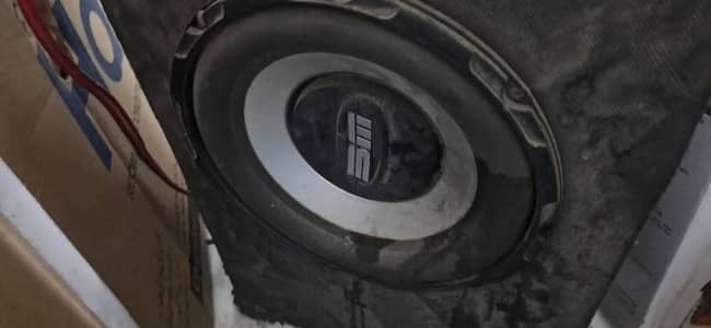 woofer BM with peti