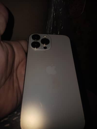 Apple iPhone 13 Pro Max