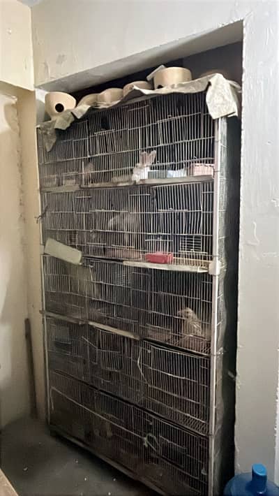 2 Cages