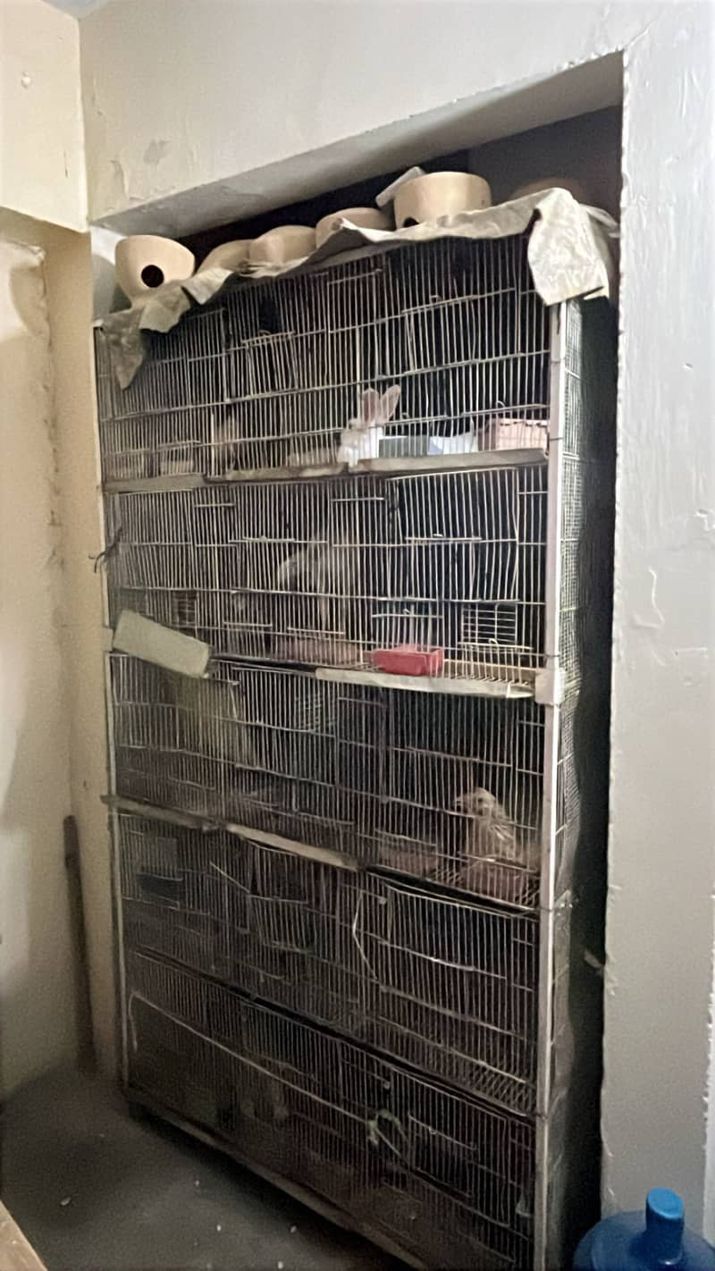 2 Cages 0