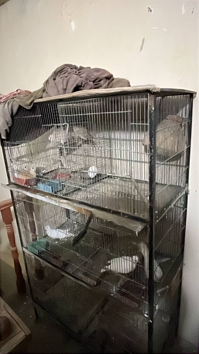 2 Cages 1