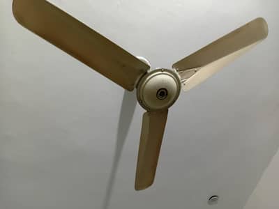 fan for sale