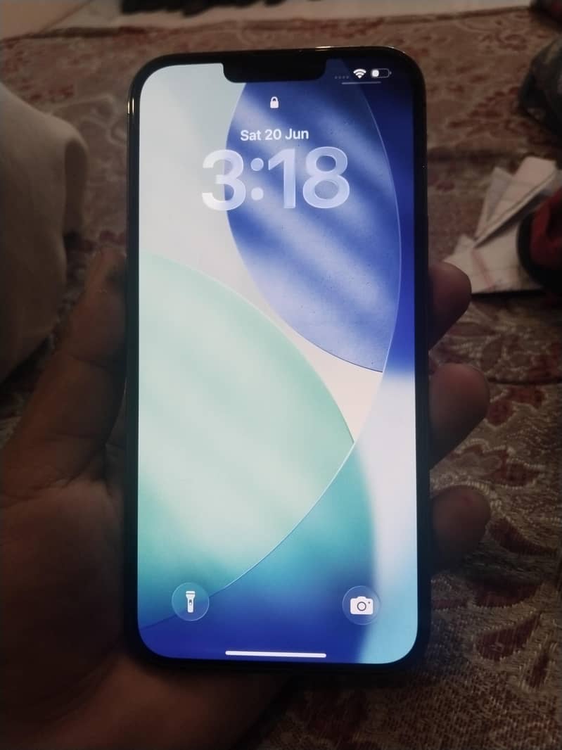 Apple iPhone 13 Pro Max 1