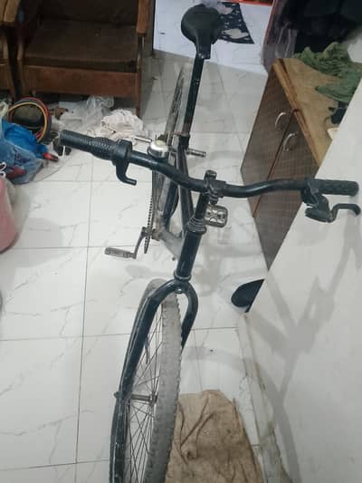 cycle 