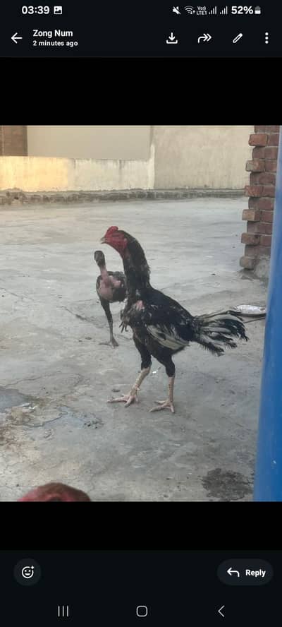 ,,,,,,,