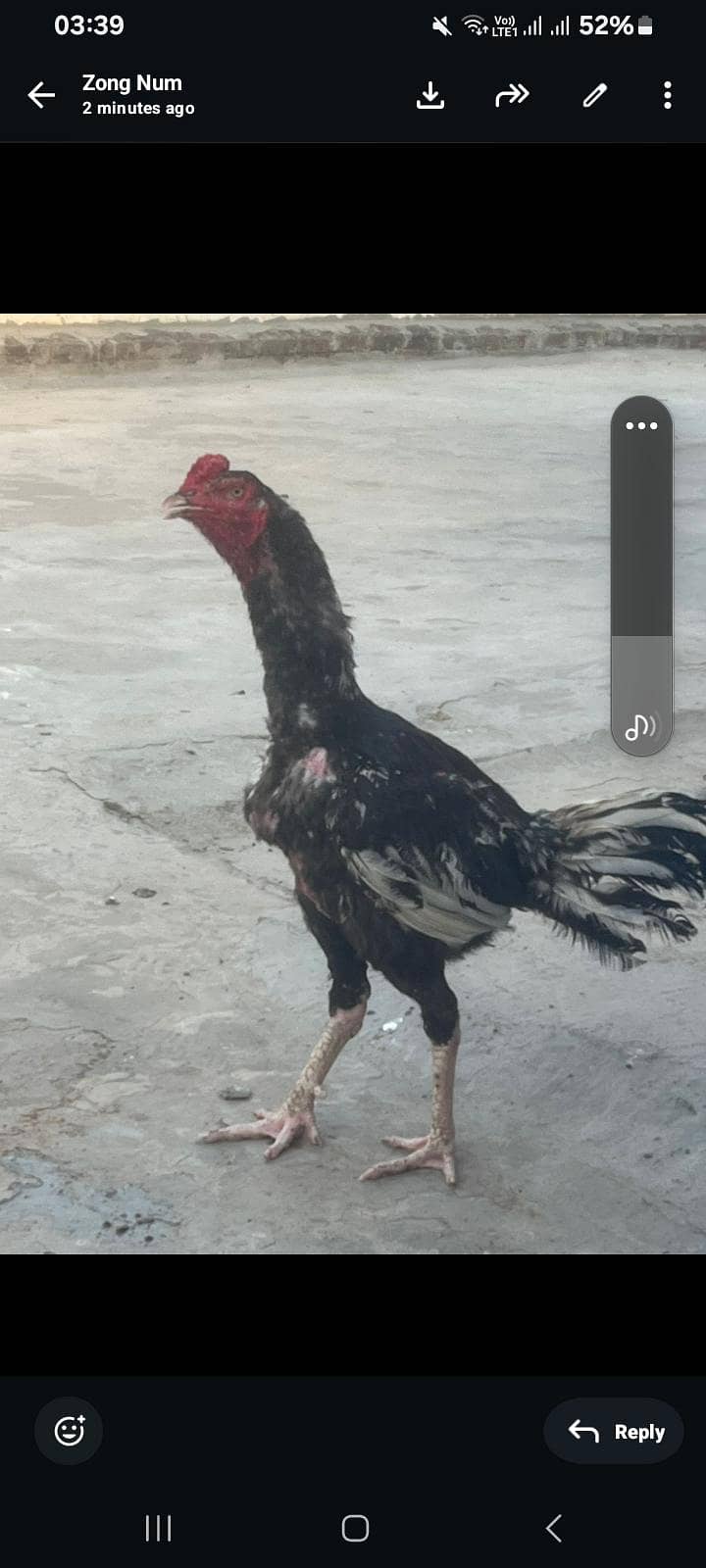,,,,,,, 1