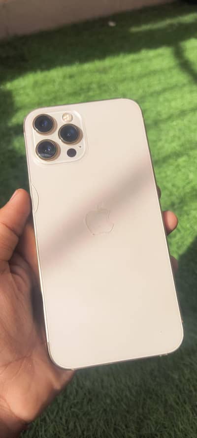 Apple iPhone 12 Pro Max