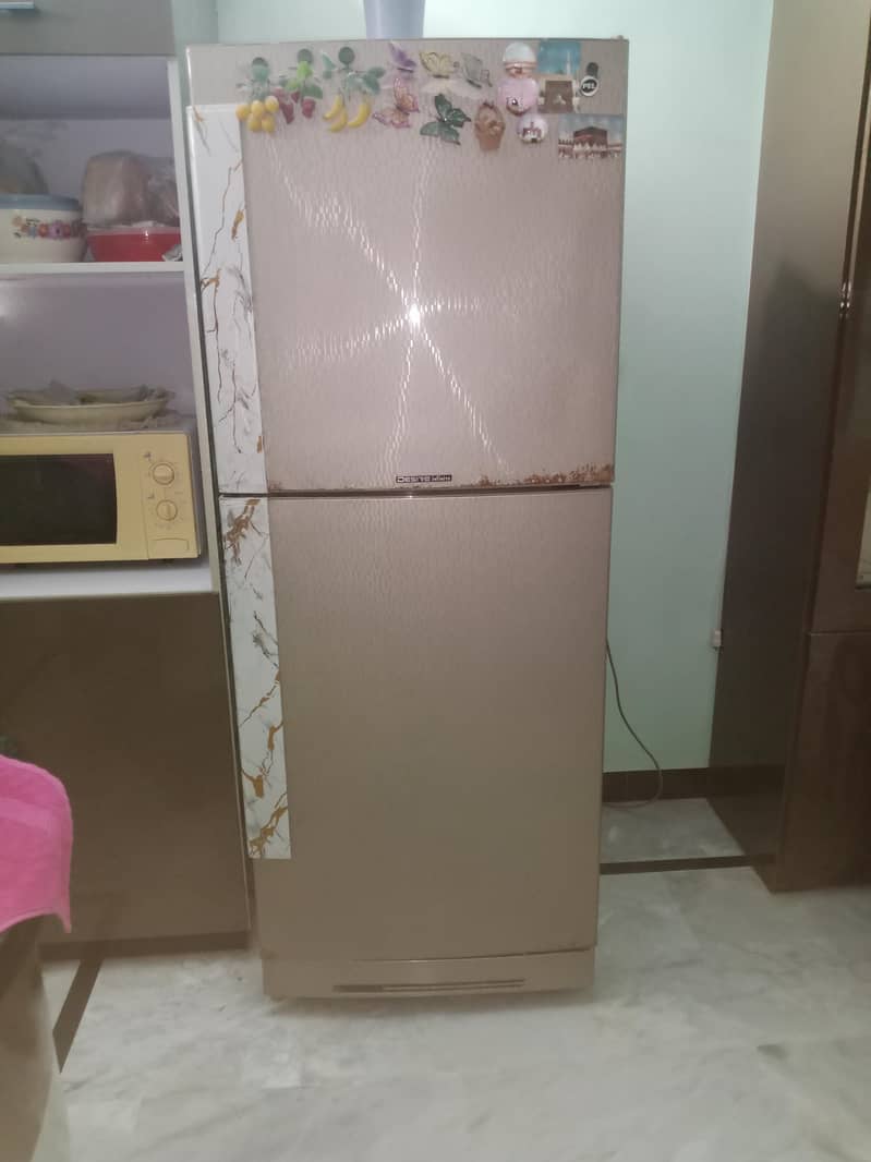 pel jumbo 3
