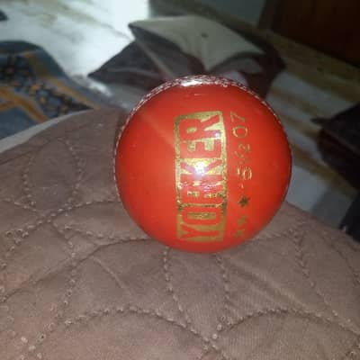  Premium Hard Ball Cricket Ball – Excellent Condition