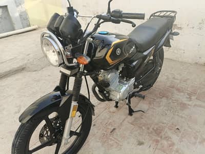 Yamaha YBZ DX 2025/26
