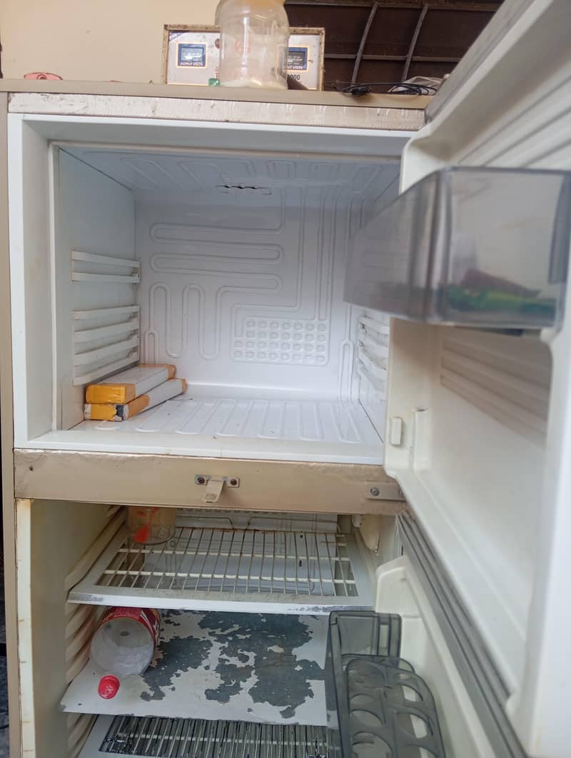 fridge 1