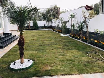 Lower lock kanal upper portion 4 bedrooms