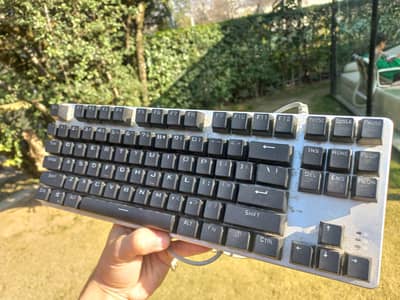 HP Single 6 LED lights keyboard