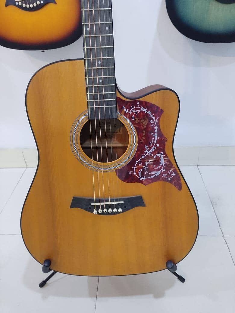Deviser Guitar Acoustic 1
