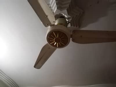 AC/DC Copper Fans