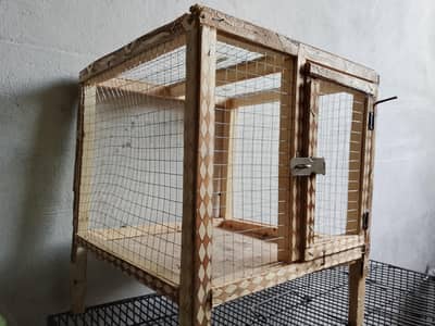 Desi chicks | Hen Cage | Hen Chicks| Wood Cage