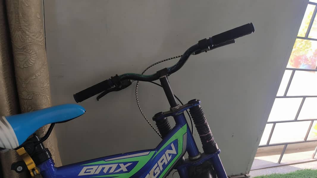 bicycle 1