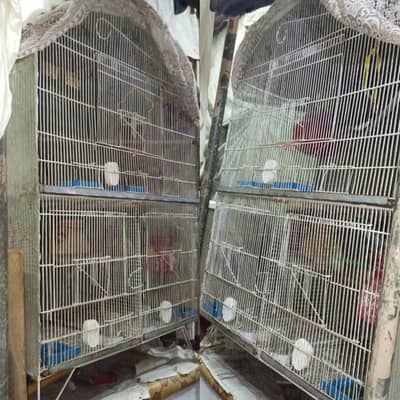 birds cages  3 partion for sale