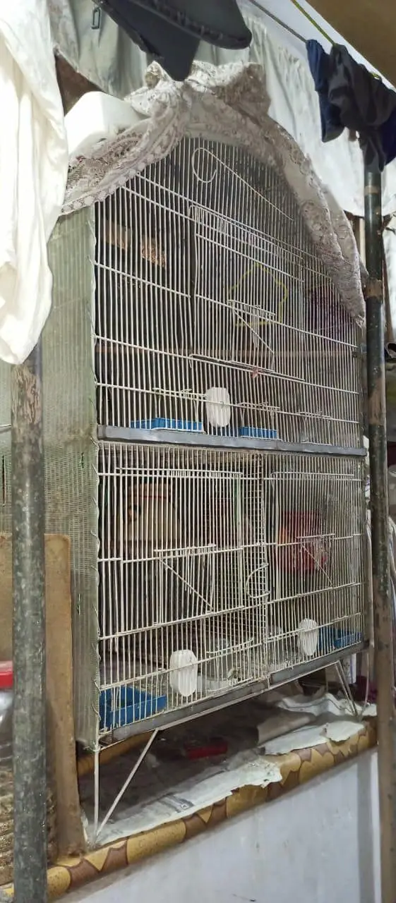birds cages  3 partion for sale — photo 2