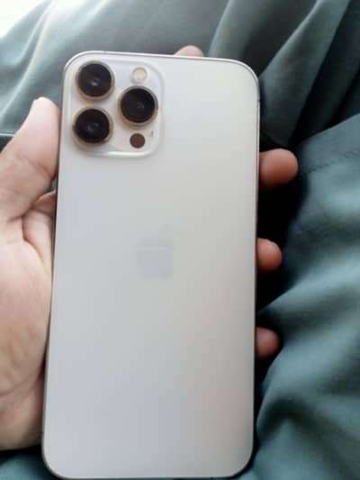 Apple iPhone 13 Pro Max