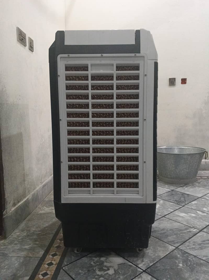 Plastico Cooler 1