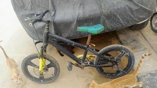 cycle
