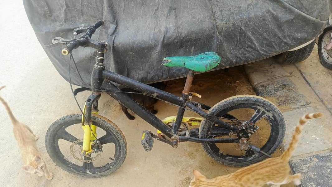 cycle 0