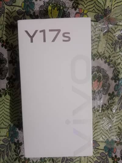 Vivo Y17s