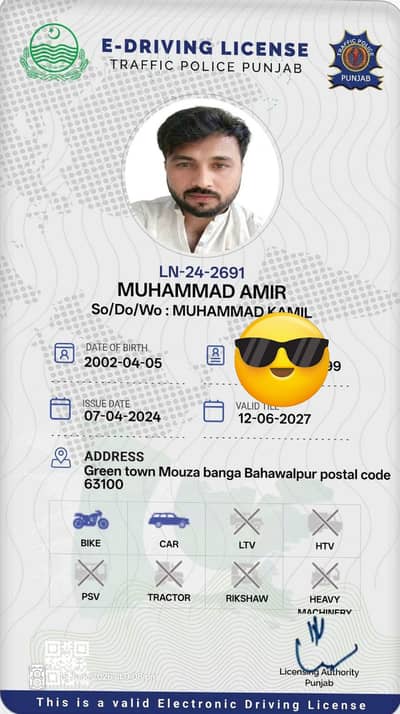 Driver job