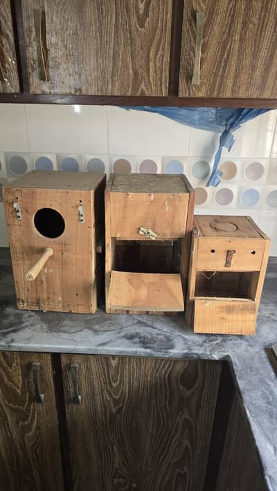 birds breeding box pots