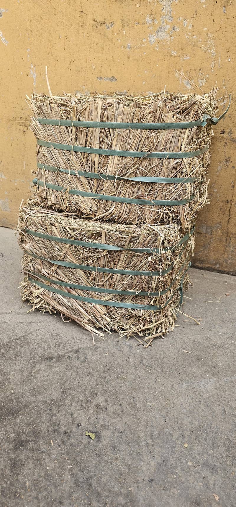 Peanut straw مونگ پھلی کا بھوسہ 1