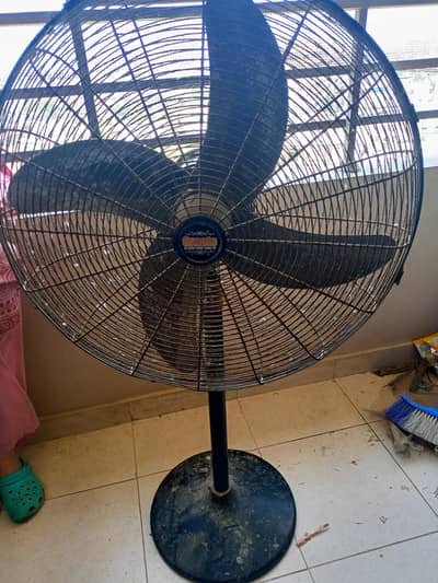 podestal fan