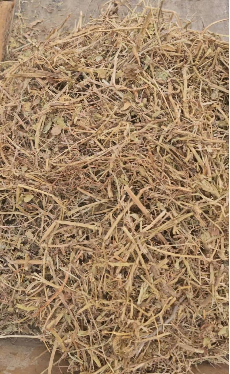 Peanut straw مونگ پھلی کا بھوسہ 2