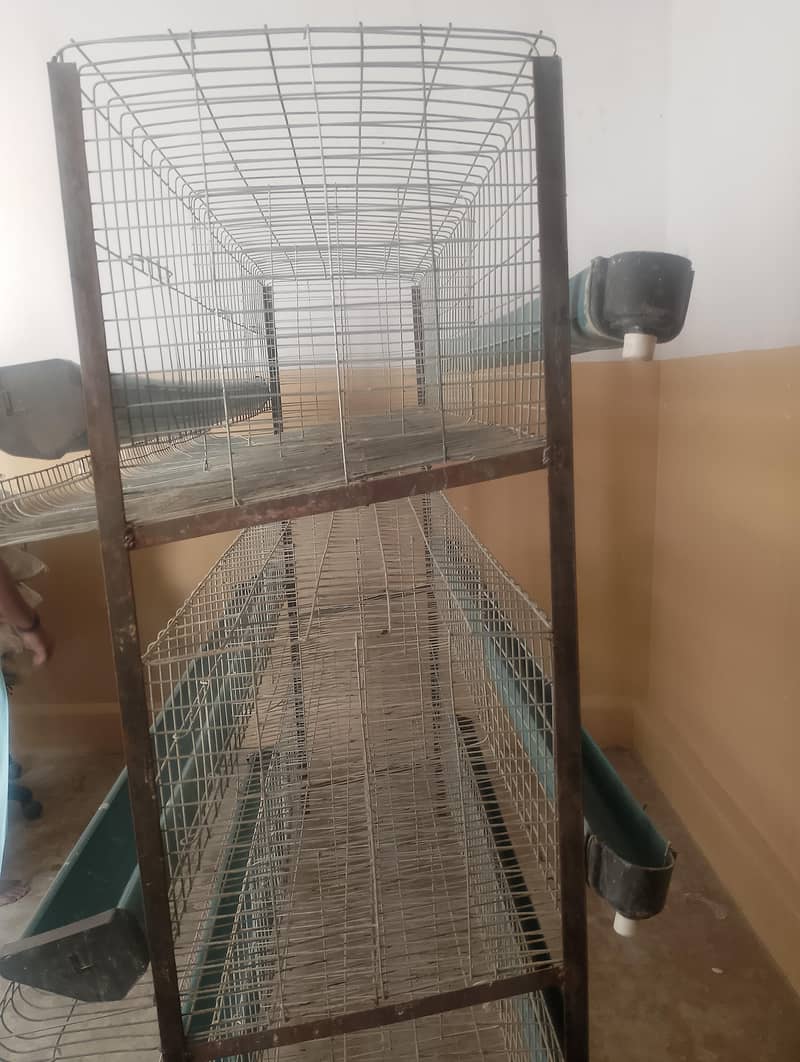 layer cage 1