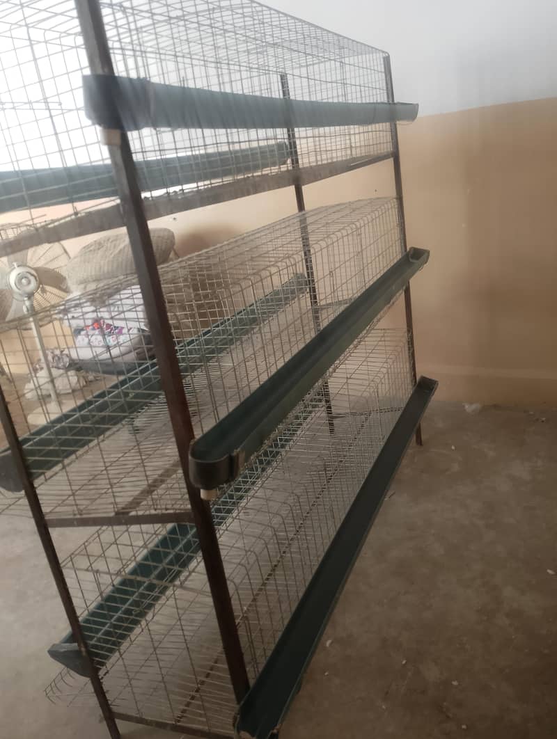 layer cage 2