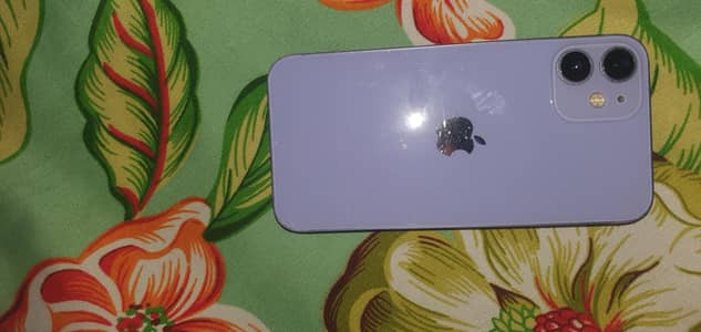 Apple iPhone 12 mini