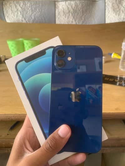 Apple iPhone 12
