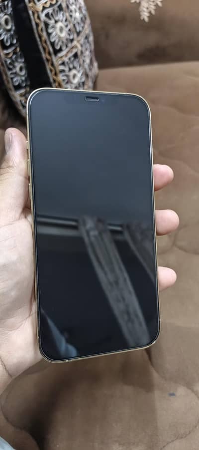 Apple iPhone 12 Pro Max