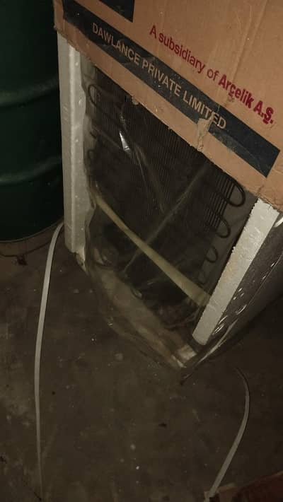 frige medium size