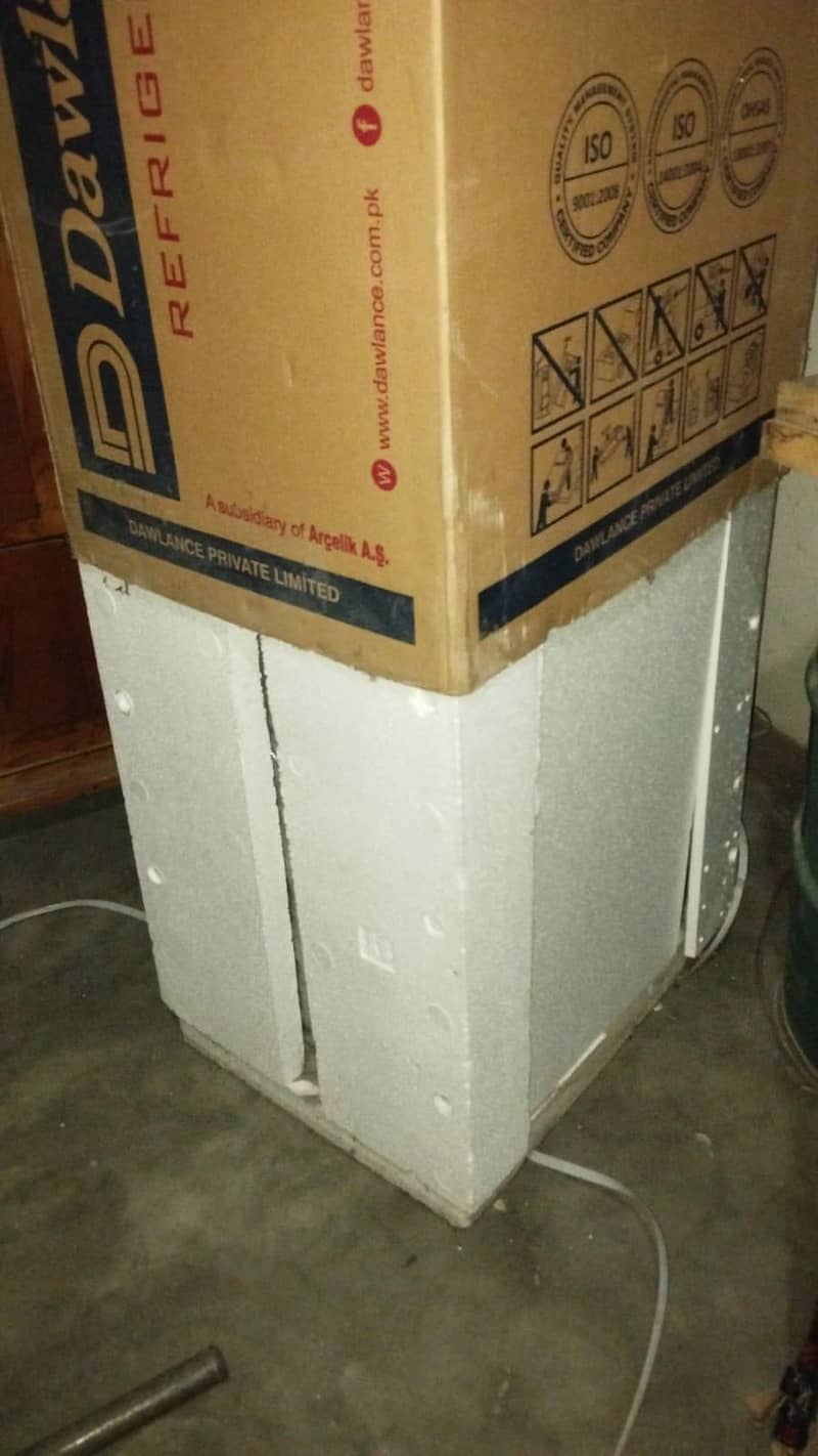 frige medium size 3