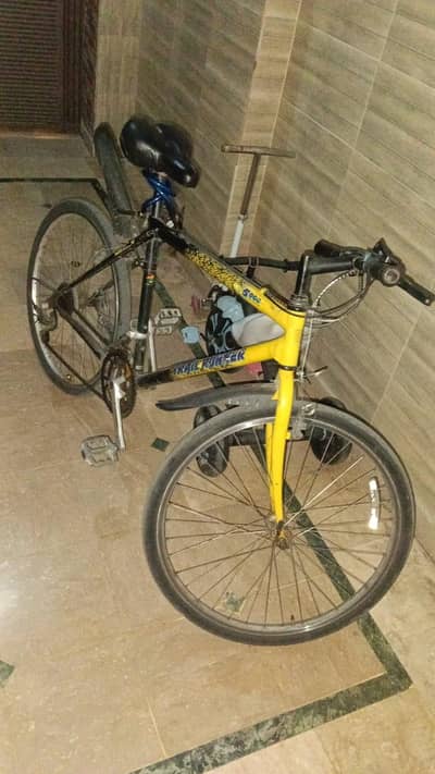 Japanese cycle