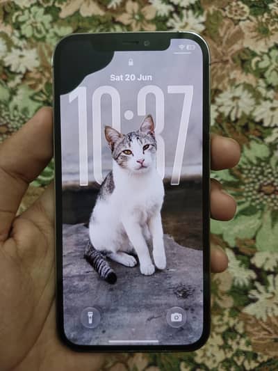 iPhone 12 Pro Face id Off